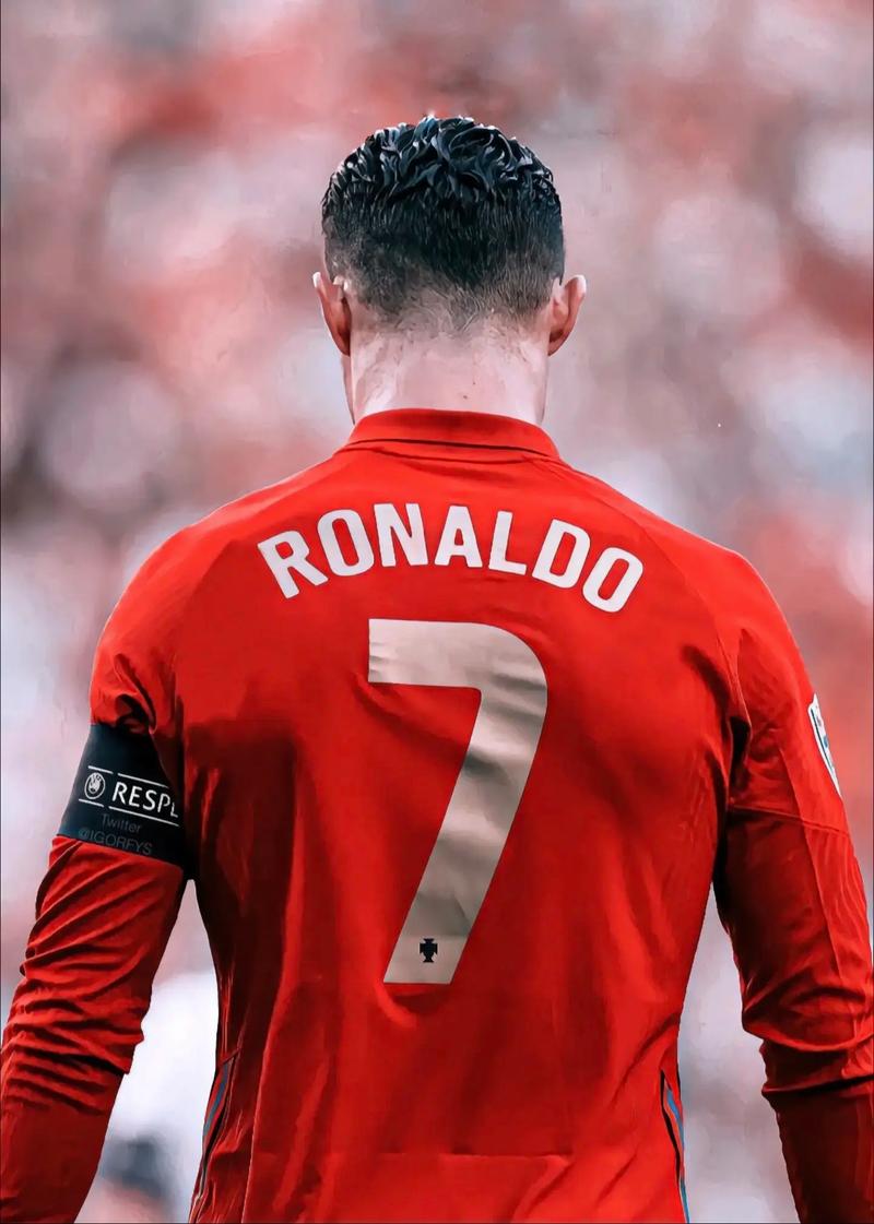 section architecture advanced